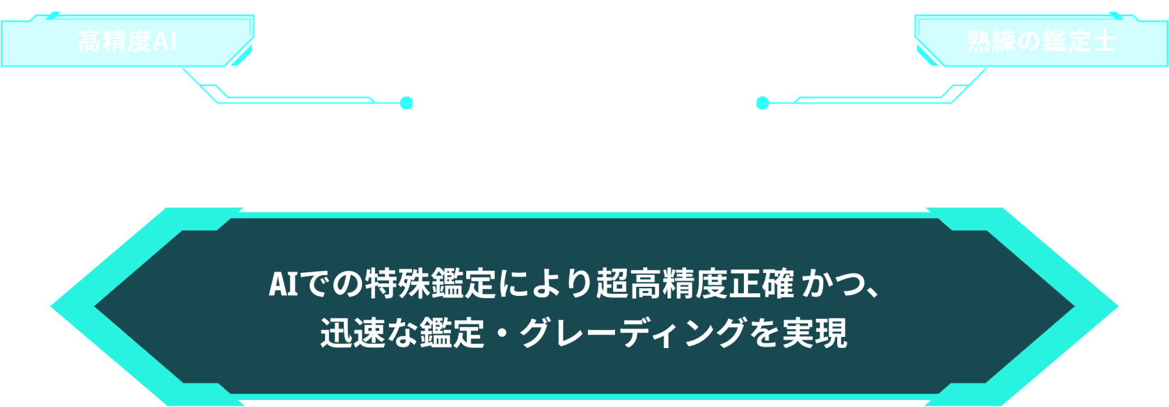 VSS鑑定（バリュースカターサービス）