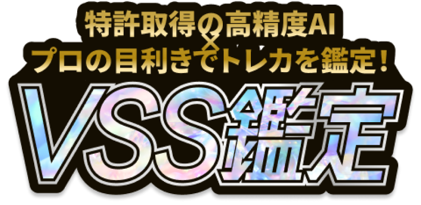 VSS鑑定（バリュースカウターサービス）