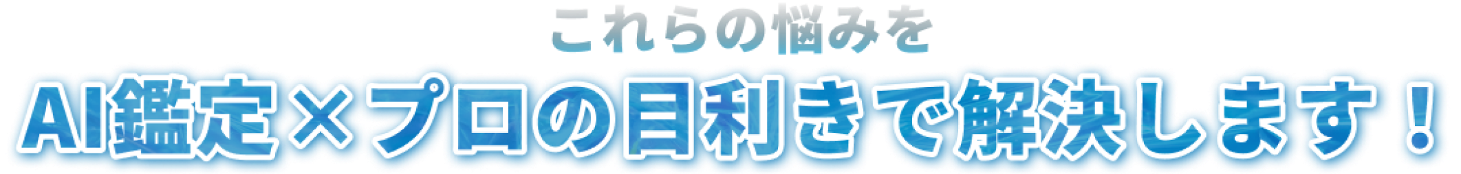 VSS鑑定（バリュースカウターサービス） テキスト